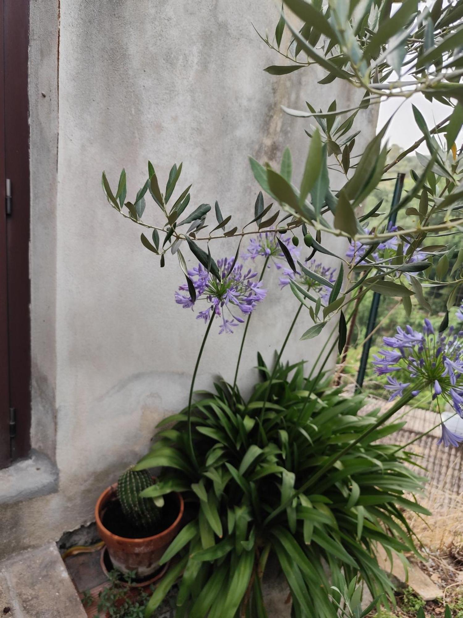 Casa In Antico Borgo Medievale A Tarano Ri, Via Giacomo Leopardi, 15 Vila Exterior foto